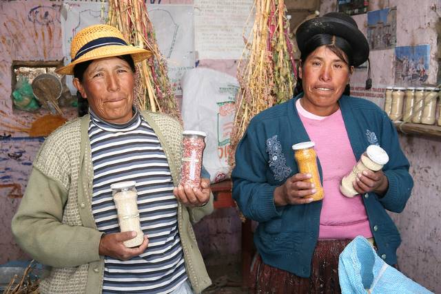Quinoa Supports Farmers in Peru