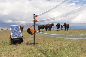 Renewable Energy in Armenia