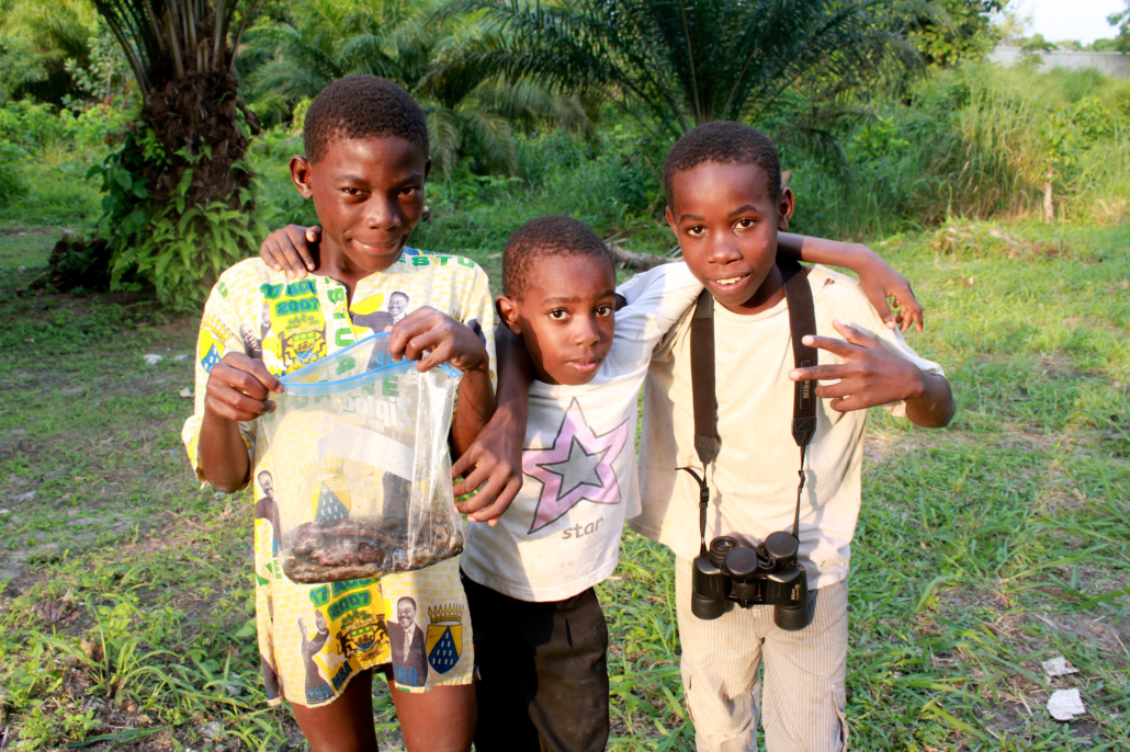Renewable Energy in Gabon