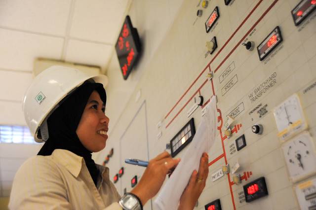 Renewable Energy in Indonesia