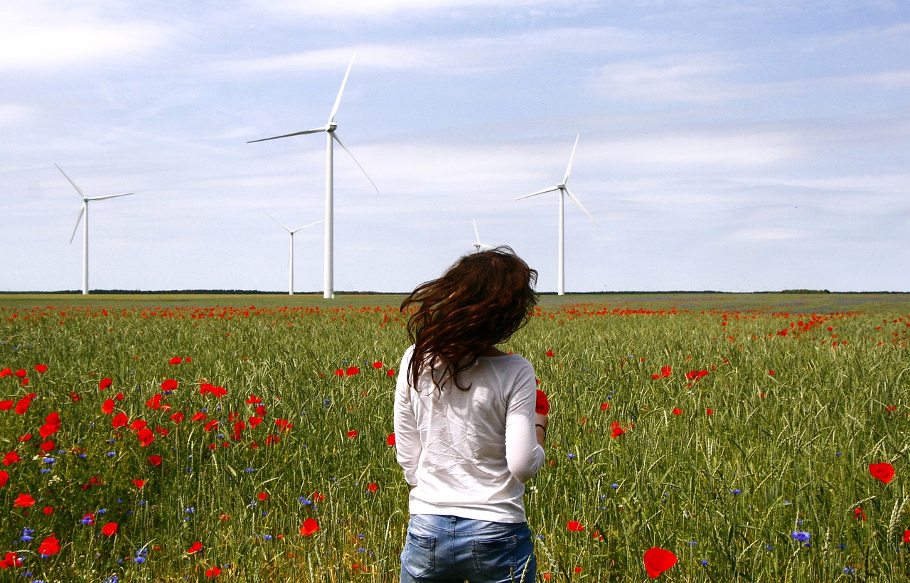 Renewable Energy in Lithuania