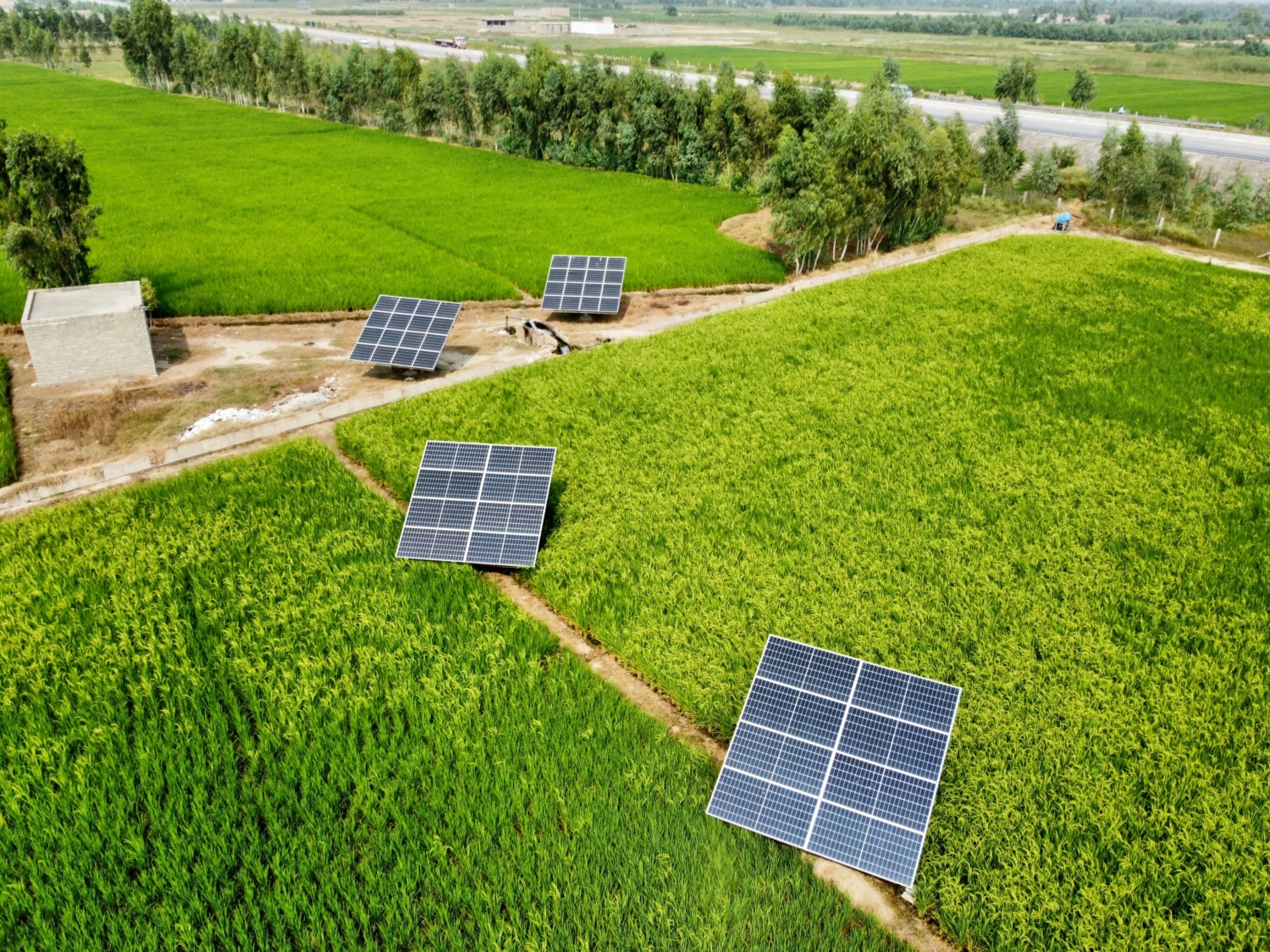 How Renewable Energy in Pakistan Can Reduce Poverty - The Borgen Project