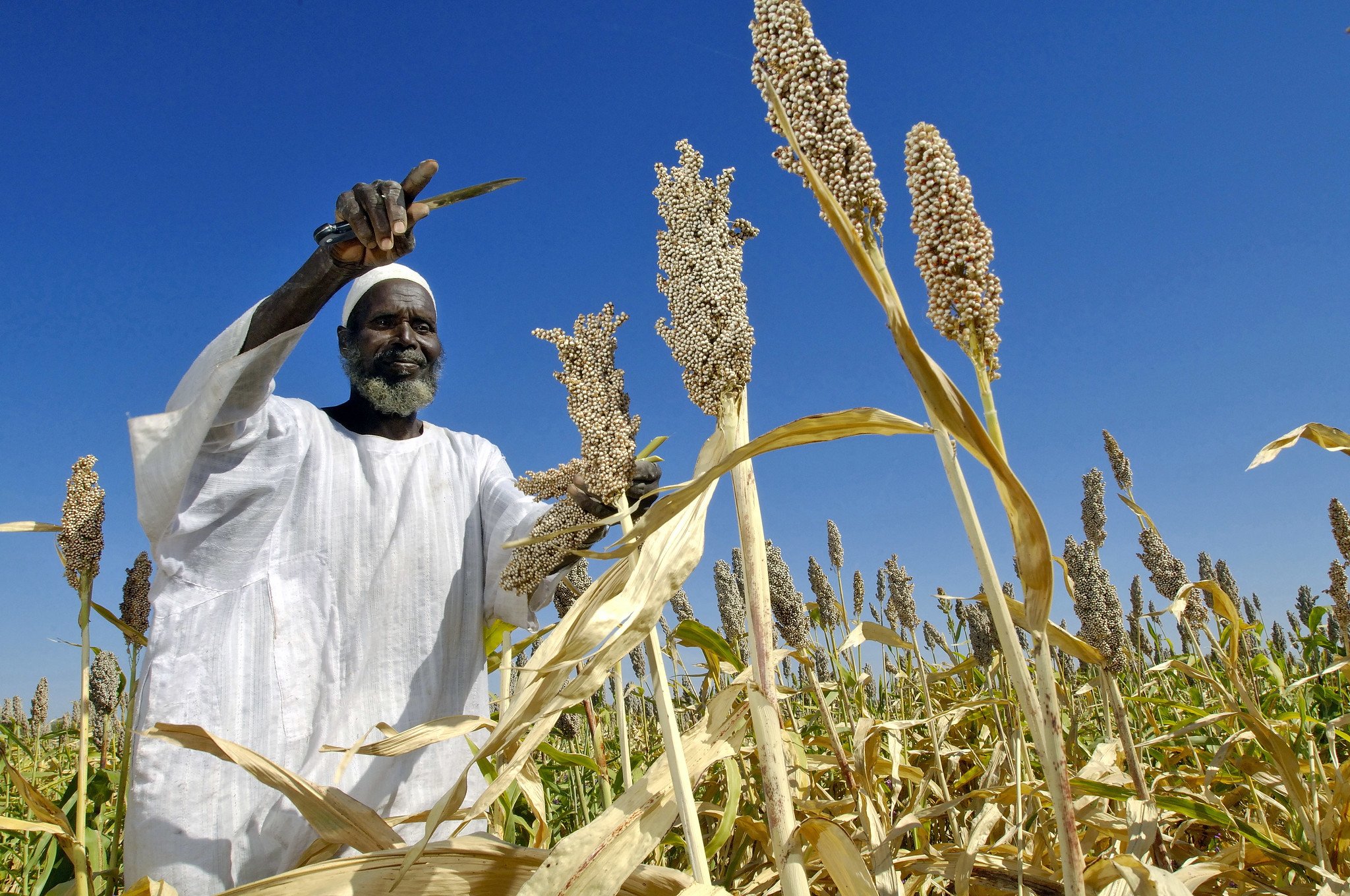 how-precision-farming-could-feed-millions-globally-the-borgen-project