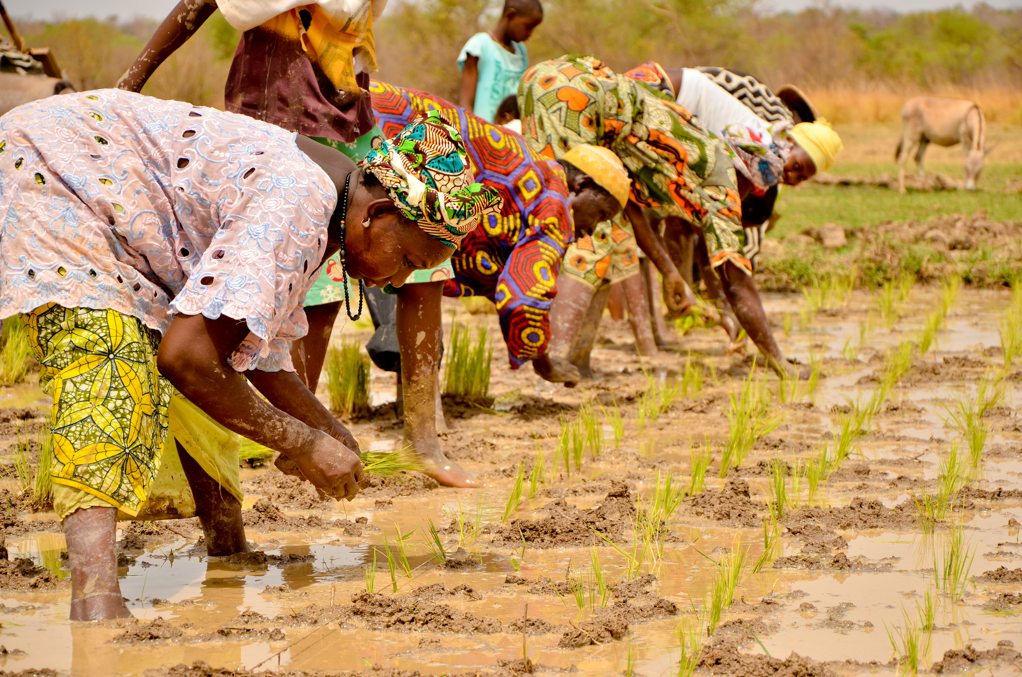 poverty-in-tanzania-the-borgen-project