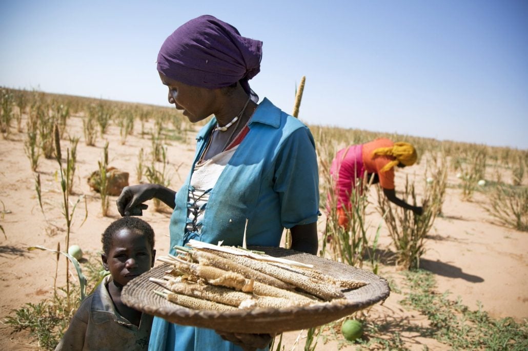 Rural Livelihoods in Angola