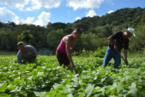 Rural Poverty in Honduras