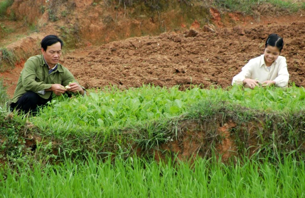 Rural Poverty in Vietnam