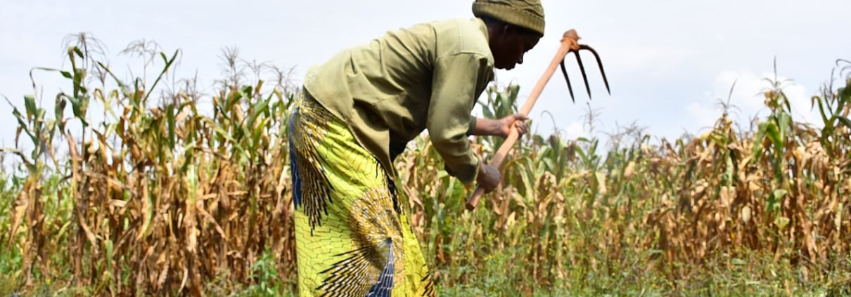 Rwanda’s Land Reform Policies