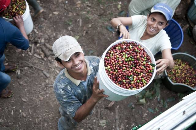 SOPPEXCCA coffee cooperative
