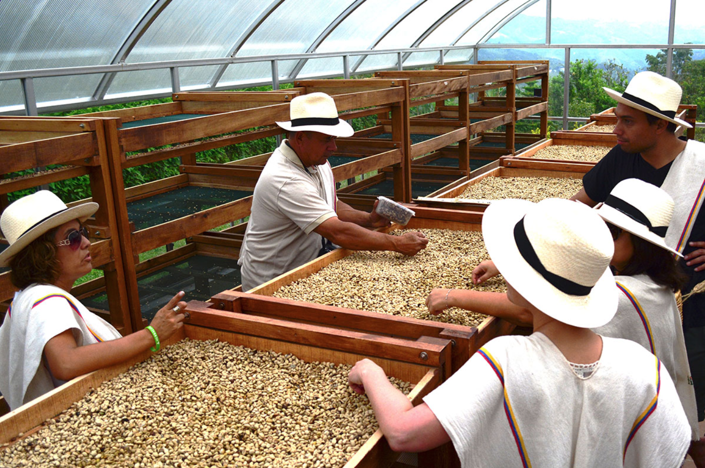 People grew this coffee in brazil. Кофейная ферма. Бразильское сельское хозяйство. Фермеры кофе. Сбор кофе в Бразилии.