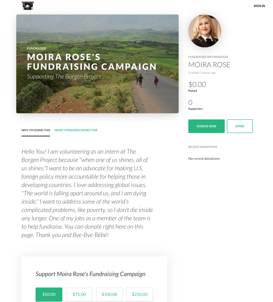 Creating Your Online Fundraising Campaign The Borgen Project