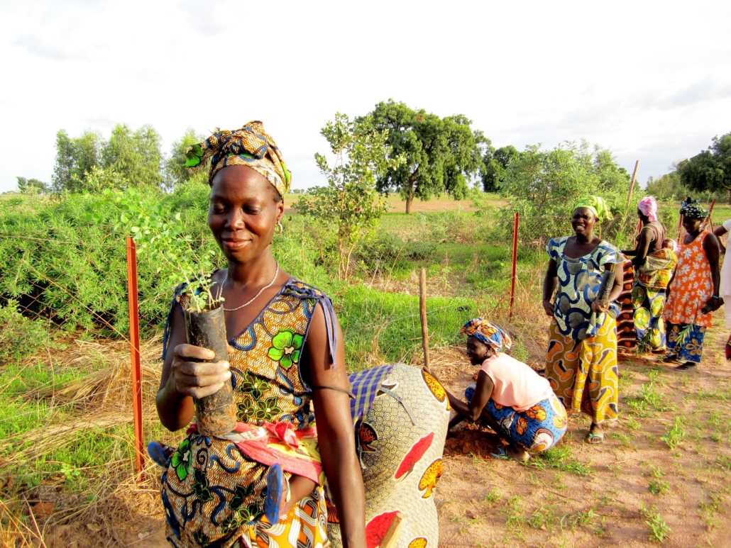 Senegalese Female Farmers