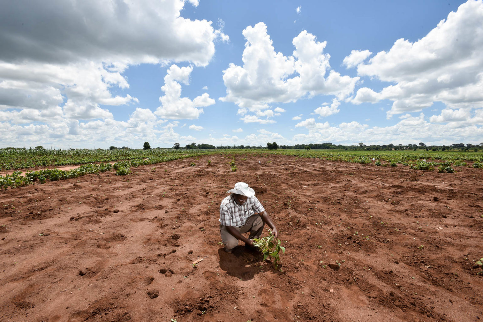 severe-land-degradation-in-malawi-the-borgen-project