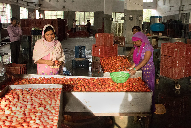 Informal Female Workers in India
