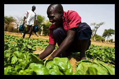 Making small-scale farmers a priority is a must