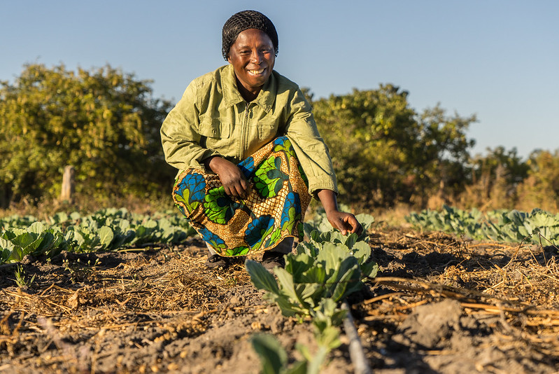 Small-Scale Farmers in Zambia