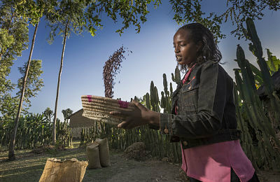 Smallholder Market Support