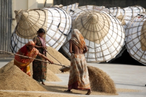 Fighting Poverty in Bangladesh