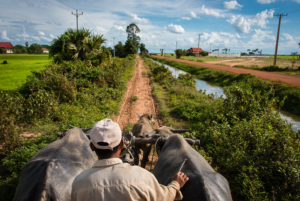 Solar Cold Storage in Cambodia