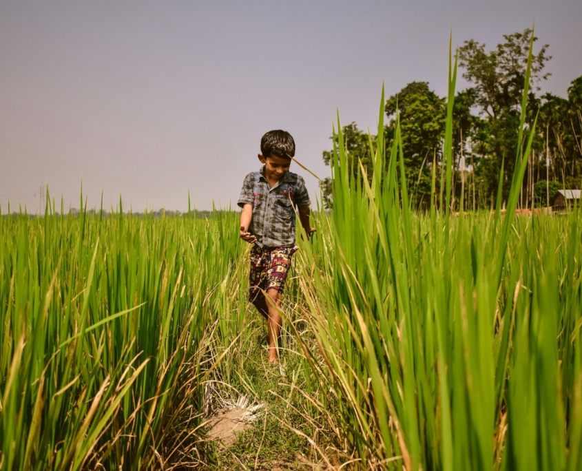 Fighting Hunger in India