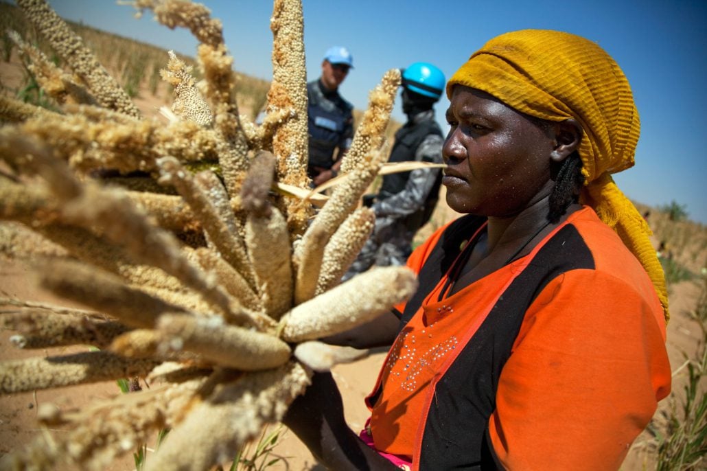 Sudan's Agricultural Recovery