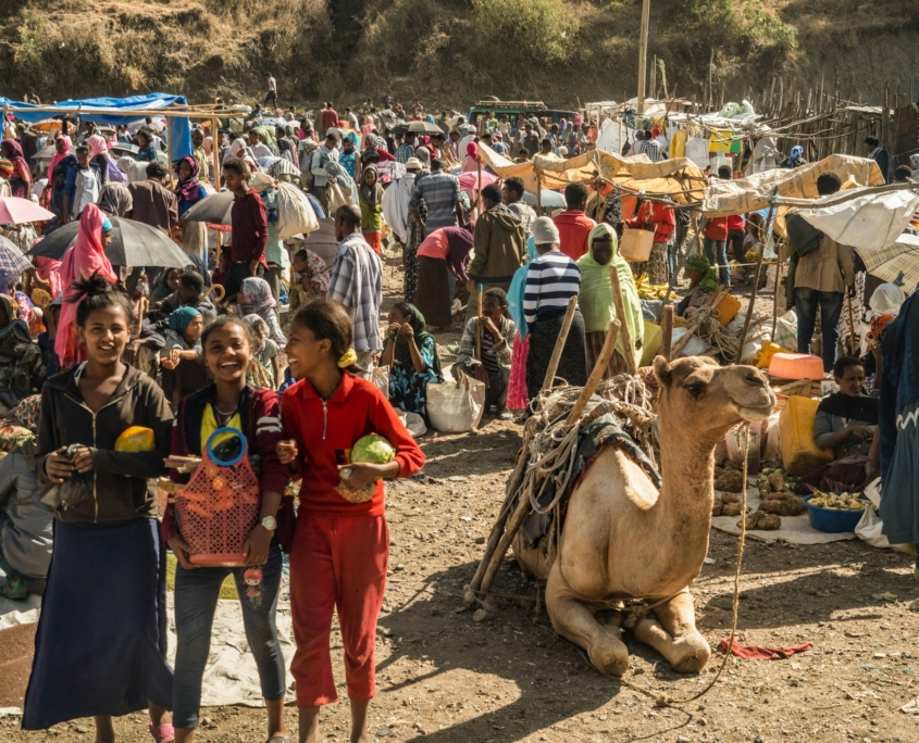Supporting Ethiopia: The Work of the FAO