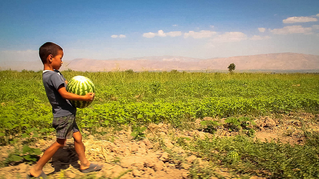 Sustainable Agriculture in Tajikistan