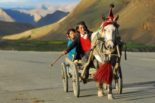 Sustainable Agriculture in Tibet
