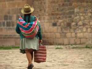 Sustainable Farming Practices in Latin America