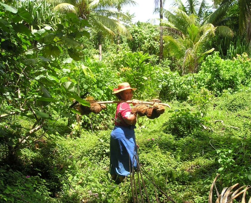 Samoa Water Quality Problems