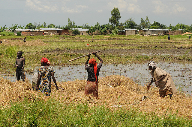 Sustainable Agriculture in Burundi
