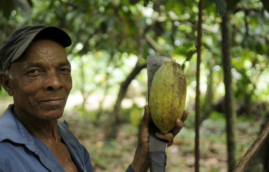 Sustainable Agriculture in the Dominican Republic