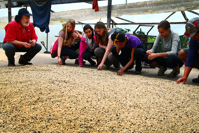 Success of Sustainable Agriculture in Costa Rica - The Borgen Project