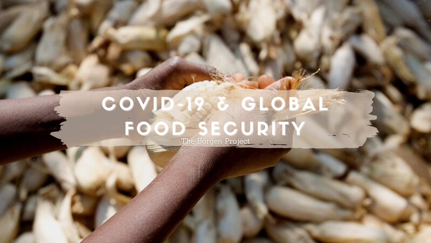 covid-19-global-food-security-the-borgen-project