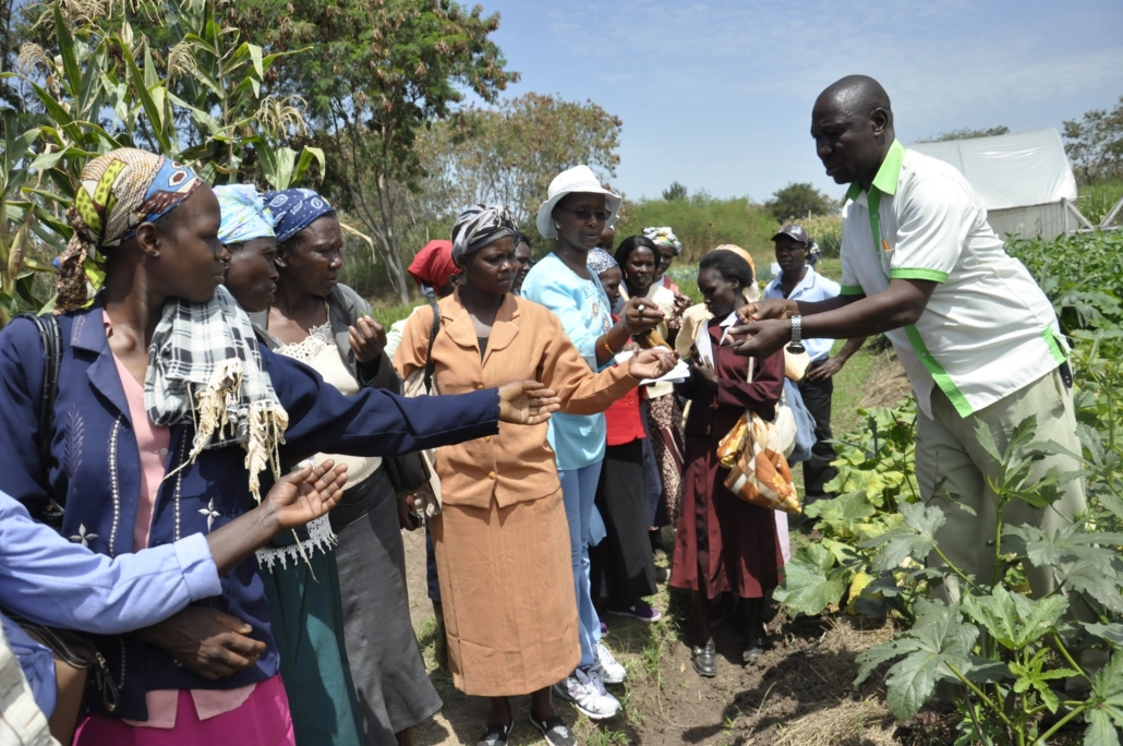 Teaching Women Biointensive Agriculture