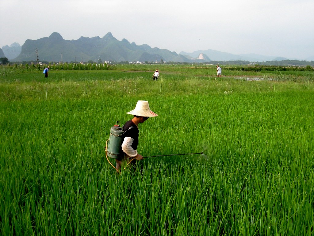 Tech Initiatives for Chinese Farmers