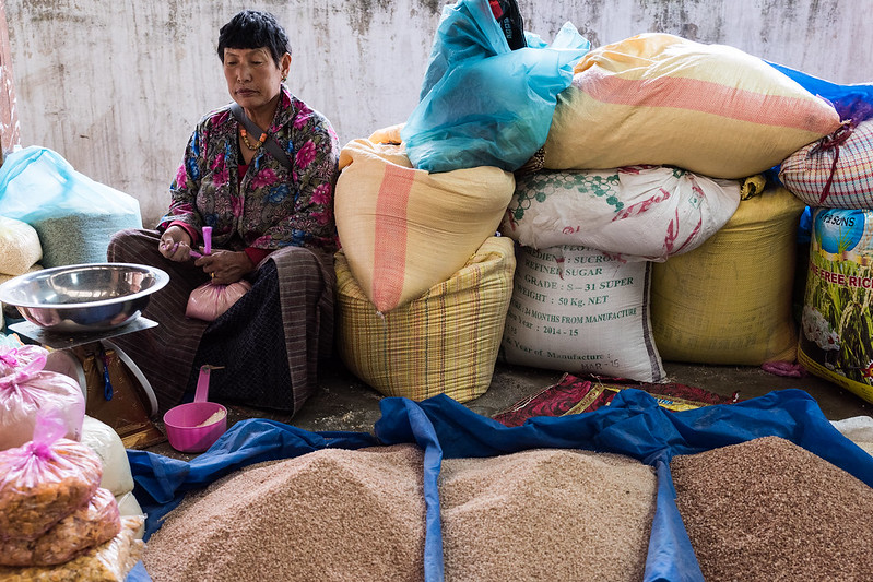 Technological Access in Bhutan