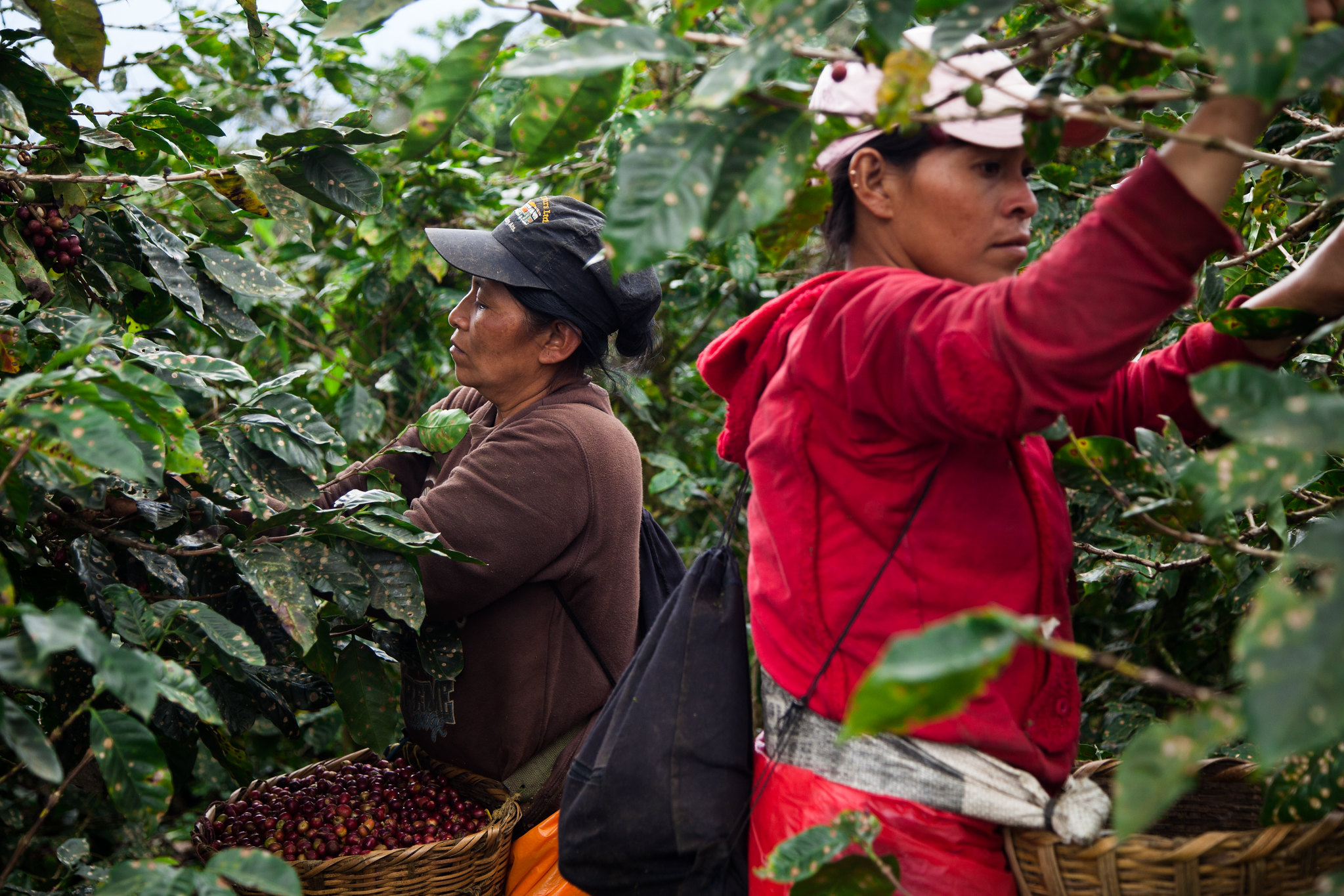 Innovation and Technology in Nicaragua - The Borgen Project