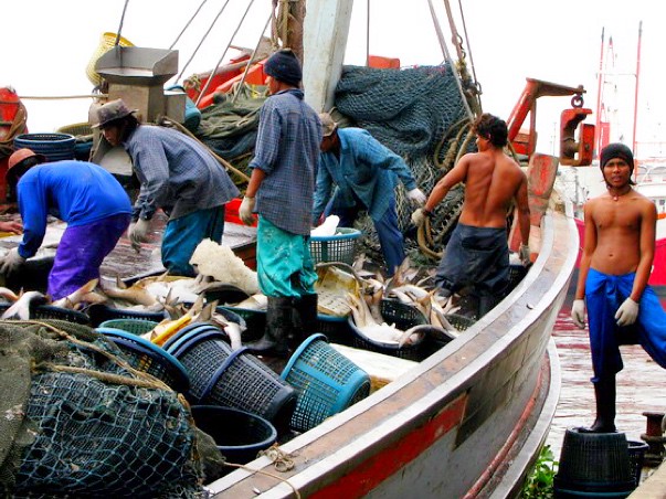 Thai Fishing Industry