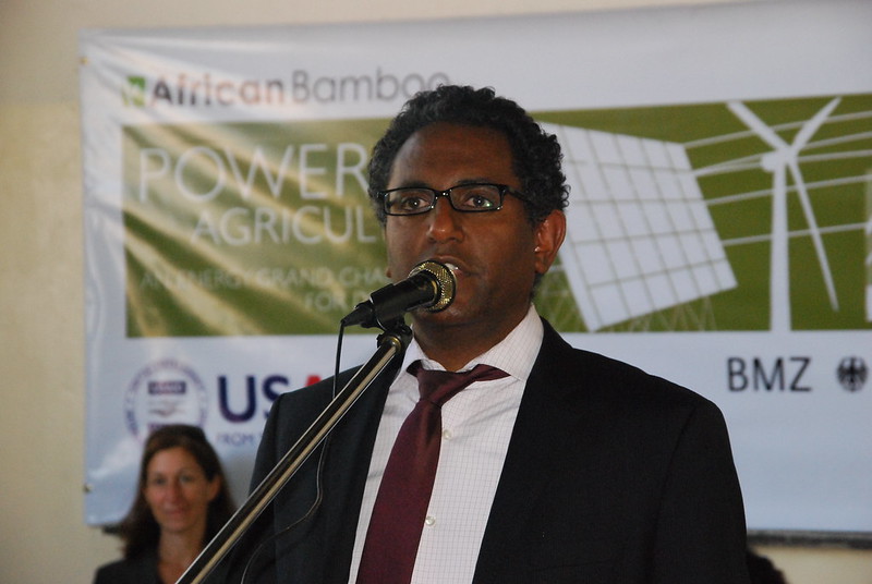 The Bamboo Magic: Can Bamboo Restore Soil Health in Africa? 