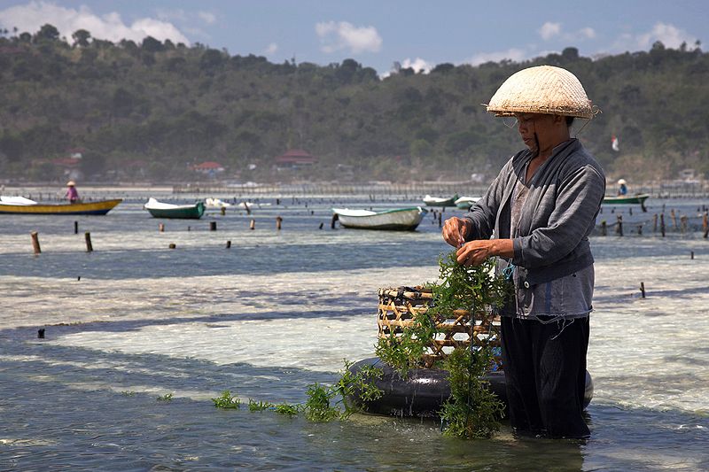 Aquaculture for Poverty Reduction