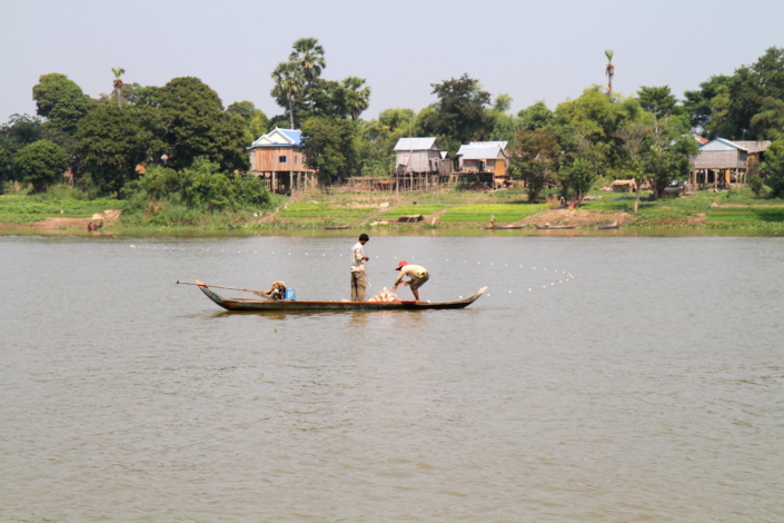 Usaid's Support Of The Cambodian Fish Industry - The Borgen Project