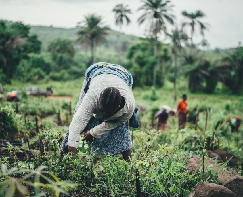Agricultural Technology Helping Rwandans