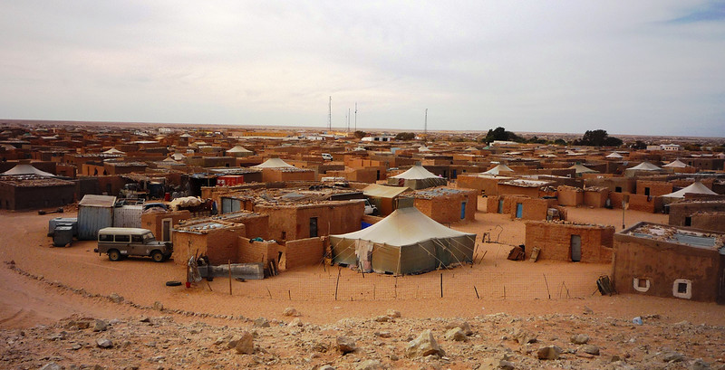 Three Poetry Projects Advocating for Refugees 