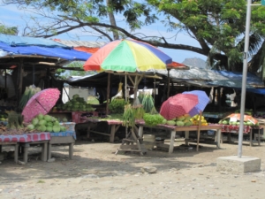Tourism Sector in Timor-Leste 