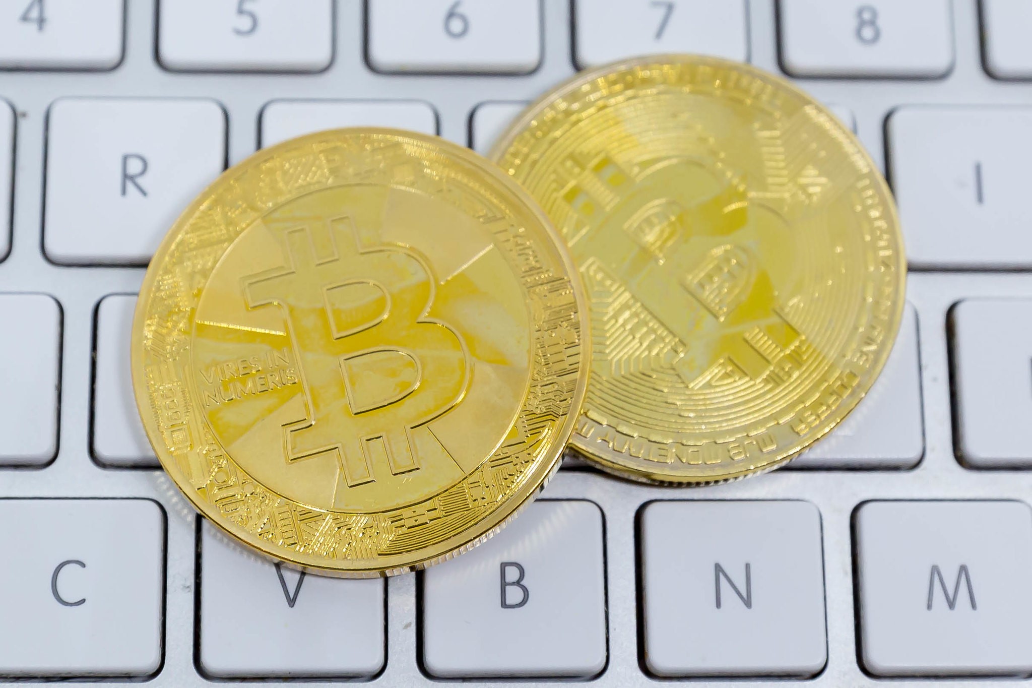 Top 7 Blockchain Projects for Poverty - The Borgen Project