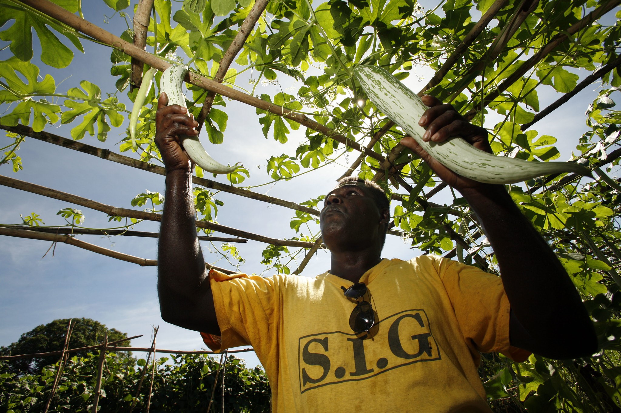 Trafficking In The Solomon Islands The Borgen Project