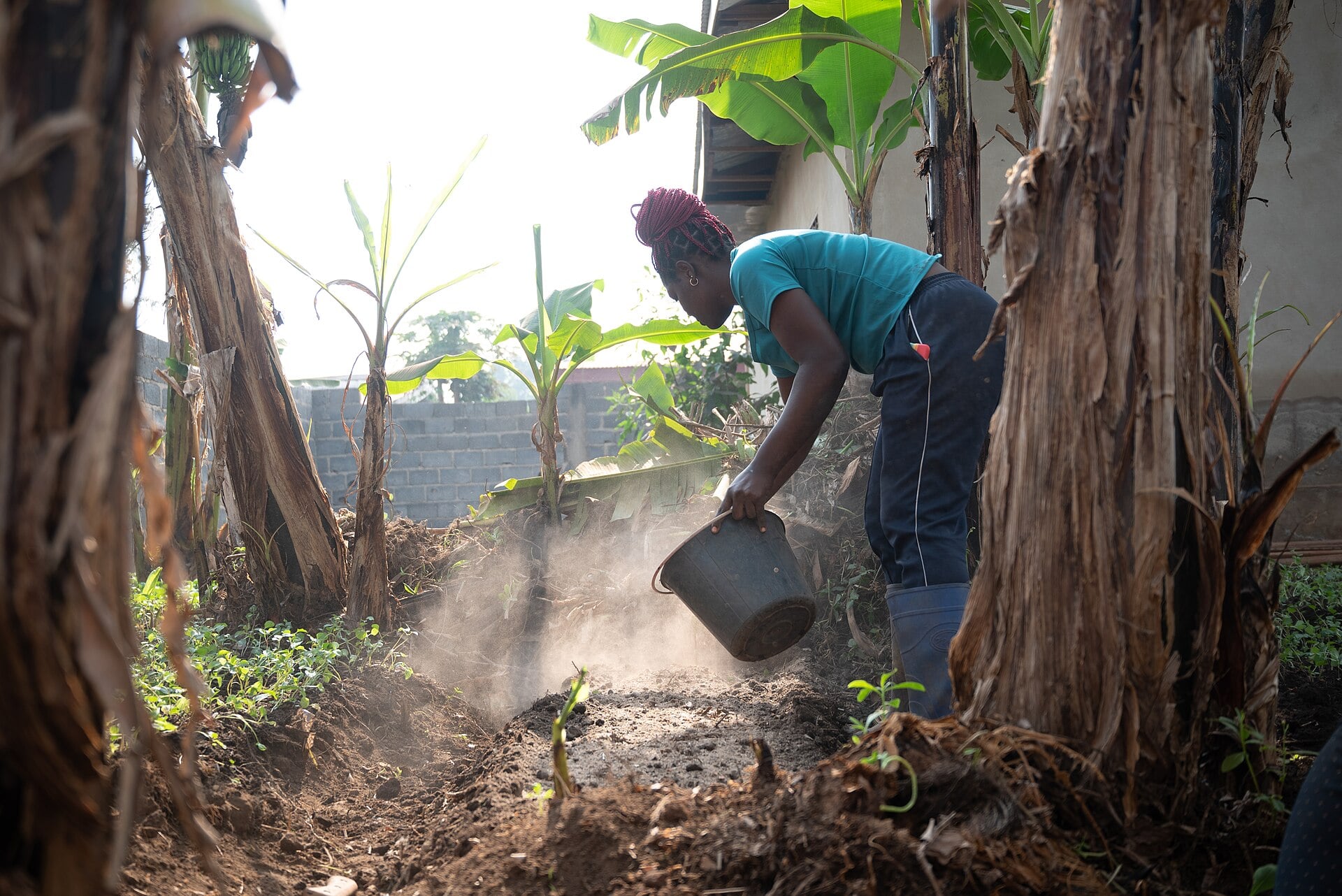Farmers in a field in Cameroon using traditional farming methods.