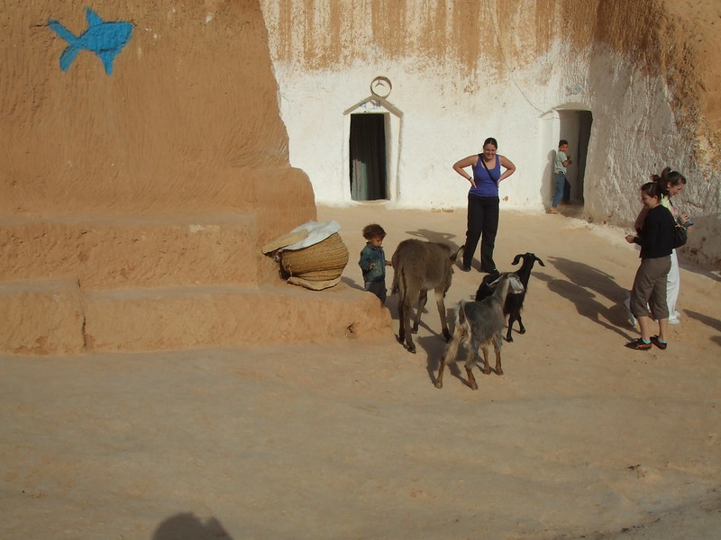 Troglodyte Homes in Libya and Tunisia