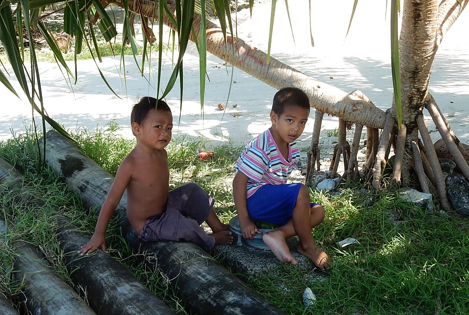 Tuvalu Archives The Borgen Project